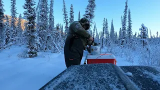 season 2 ep 2 wolf and marten trapping