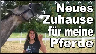 Neues Zuhause für meine Pferde  ✮