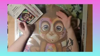 Unboxing Diamond art club Rainbow Lil Monkey y Sheena Pike