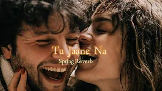 Tu Jaane Na Most Listening Lofi Song💫| ( Slowed + Spring Reverb ) | Lofi Tune | Enjoy the lofi ♥️