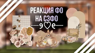 Реакция Столиц ФО на СЗФО |ᴡʏʟᴀɴɴ| Ч.О.