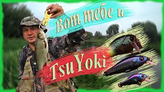 Вот тебе и TsuYoki. Ловля белого хищника на воблеры. И не только