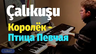 Çalıkuşu  - Soundtrack - Piano Cover & Sheet / Королек - Птица Певчая - Пианино, Ноты