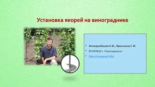 Установка якорей на винограднике. Хисамутдинов АФ, Красохина СИ