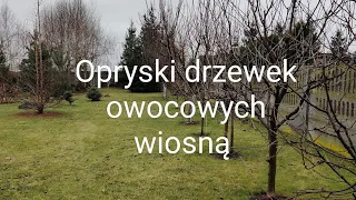 Opryski drzewek owocowych wiosną.