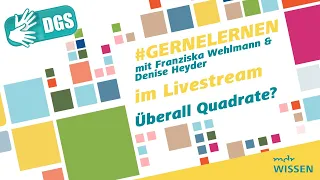 Gebärdefassung: Quadrate in Wissenschaft und Natur | #gernelernen mit MDR Wissen | MDR