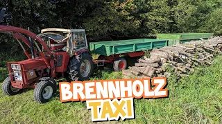 Heiße Angelegenheit! | BRENNHOLZ aus'm WALD | IHC 633 | Mr. Moto