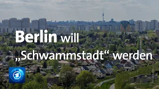 Starkregen und Flutschäden: Berlin will „Schwammstadt“ werden