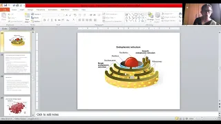 Cell structure & Organization 09