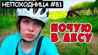 ОДИНОЧНЫЙ ВЕЛОПОХОД С НОЧЁВКОЙ. ТЕСТ НОВОЙ СНАРЯГИ. НЕПОХОДНИЦА