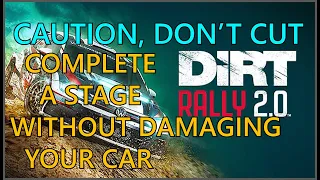 Dirt Rally 2.0: Caution, Don't Cut Trophy Guide