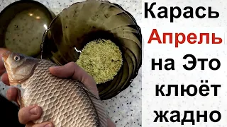 В Апреле вся рыба клюёт на Это! Супер рыболовная насадка для карася весной