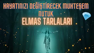 Dünyanın En Muhteşem Nutuklarından Biri ELMAS TARLALARI #seslikitapdinle #elmastarlaları