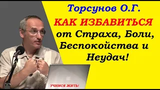 Торсунов О.Г. Как избавиться от Страха, Боли, Беспокойства и Неудач. Учимся жить.