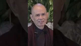 Practice Stopping | Thich Nhat Hanh | #shorts