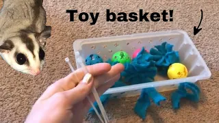 DIY Sugar Glider Toy Basket.