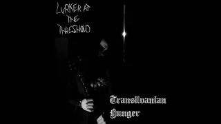 Transilvanian Hunger (Darkthrone Cover)