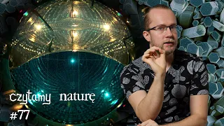 Czytamy naturę #77 | Neutrina z jądra Słońca - Fraktalne nanokryształki - O ciekawości