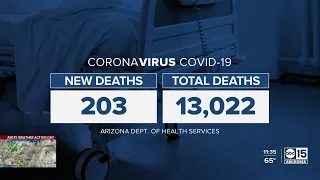 UK COVID variant found in Arizona