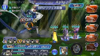 [DFFOO Japan] Leonhart Lost Chapter Level 100 575K Score