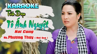 Karaoke Trích Đoạn Tô Ánh Nguyệt Thiếu Kép - Hát Với NS Phương Thúy