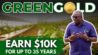 The Hidden Benefits of Greenhouse Agriculture in GHANA Revealed!!!