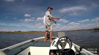 Zimbabwe bass fishing (farm dam)