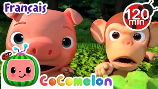 Des pommes et des bananes | Chansons pour Bébés | CoComelon Le coin des Animaux de JJ - Comptines