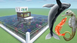 How To Make a Whale, Shrimp, and Seahorse Farm in Minecraft PE