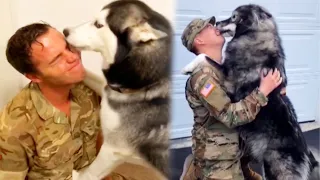 Soldiers Coming Home To Dogs & More! CUTE Dog and Owner Reunion Compilation