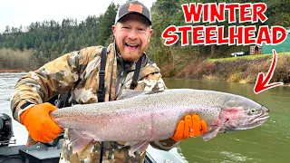 INSANE Winter Steelhead Fishing with @DayOneOutdoors & Friends