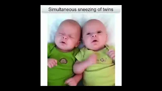 Funny Baby Video : Simultaneous sneezing of twins