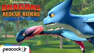 Racing the World's Fastest Dragon | DRAGONS RESCUE RIDERS: HEROES OF THE SKY