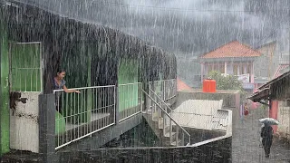 Super Heavy Rain in My Village | very cool, Sleep instantly with the sound of heavy rain - ASMR