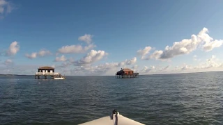 Balade Sur le Bassin d'ARCACHON en bateau