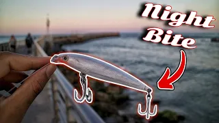 This Lure Gets the Job Done!!!(Sebastian Inlet Night Fishing)