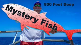 MASSIVE MYSTERY FISH Caught in Super Deep Water {Catch Clean Cook} Hand Crank, NO ELECTRIC!