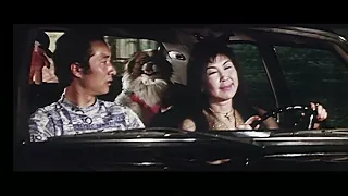 猎字99号 (1978).高清1080p修复版.国语无字幕.类型:  剧情.主演: 陈佩斯 / 傅泰增 / 高保成 / 田华 / 张力.八一电影制片厂.中国大陆反特故事彩色电影片