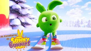 As Aventuras de Sunny Bunnies | Estilo Congelamento | Série 5 | Desenhos Animados Infantis