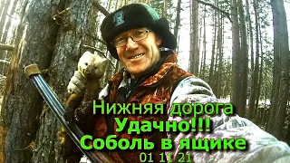 Нижняя дорога Удачно!!! Соболь в ящике 01 11 21