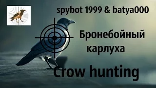 Crow hunting Кроухантинг Охота на ворон Бронебойный карлуха