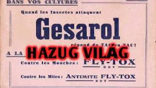 Gesarol - Hazug világ