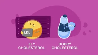 Dobrý a zlý cholesterol | Všetko o cholesterole