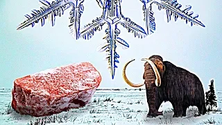 Історія Замороженої Їжі