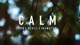 CALM | Short Nature Cinematic