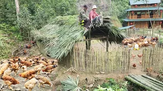 A tiring day of work for khe and vuong,chop palm leaves, complete the roof for the chickens