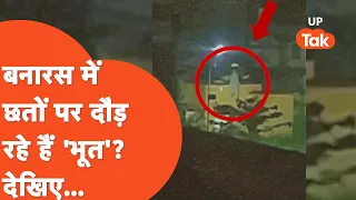 Viral Video: वाराणसी में 'भूतों' का आतंक, छतों और दीवारों पर दौड़ते दिख रहे 'भूत'!