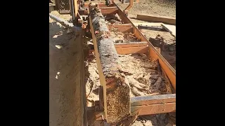 White Grizzly Saw Milling / Utilizing every bit of the log