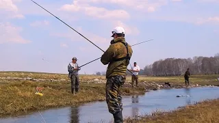 КРУПНЫЙ КАРАСЬ В РУЧЬЕ! ПОПАЛ НА БЕШЕНЫЙ ЖОР! ЛОВЯТ ВСЕ!