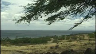 Lapakahi State Park, Big Island, Hawaii